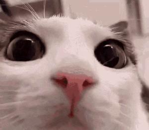 TikTok Image Sync To QuickSync Test 0001