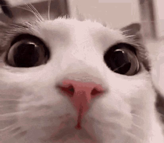 Test Facebook Product 01